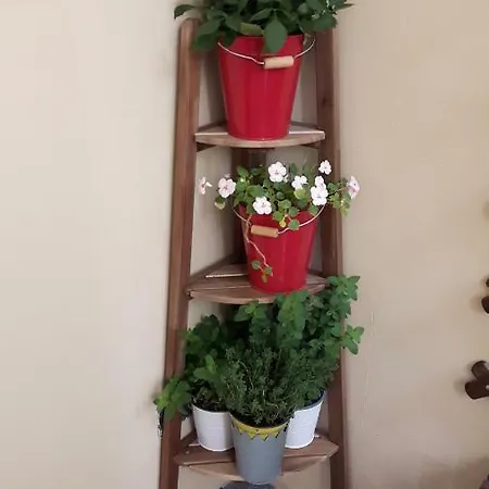 Apartmán Duchi Palermo