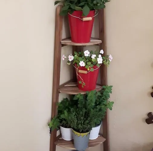 Apartment Duchi Palermo